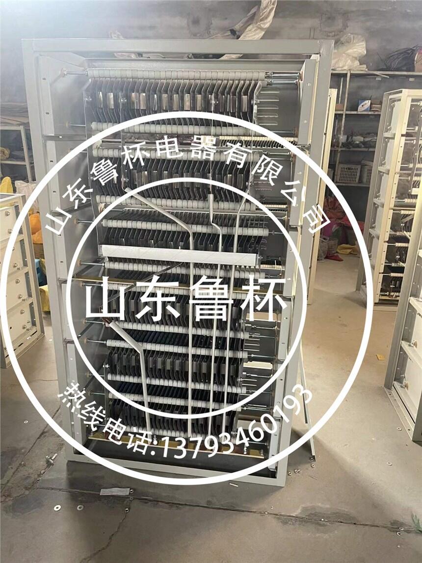 山東德慶RS54-250M1-6/4D  37KW電阻器調(diào)速電阻器